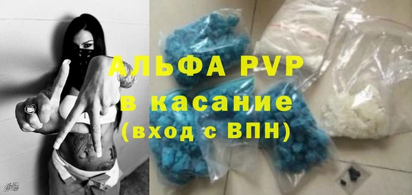 сатива Карпинск
