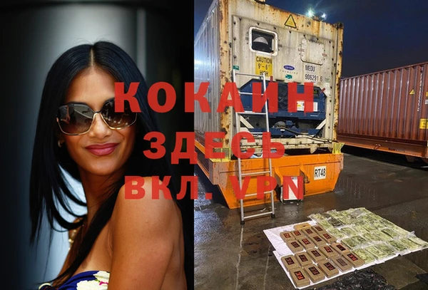 сатива Карпинск