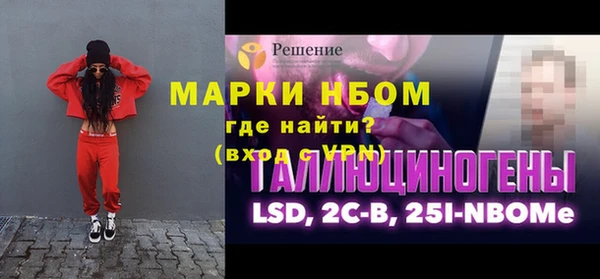 сатива Карпинск