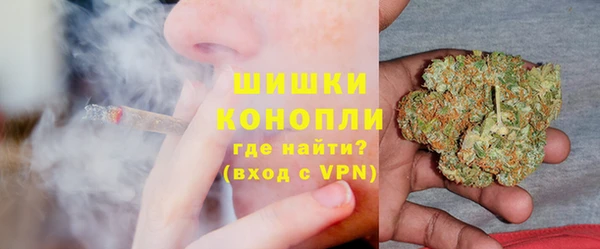 сатива Карпинск