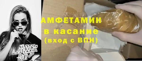 стафф Касимов