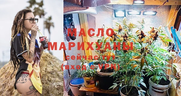 сатива Карпинск