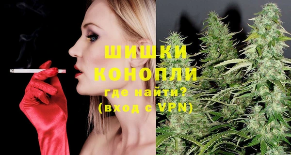 стафф Касимов