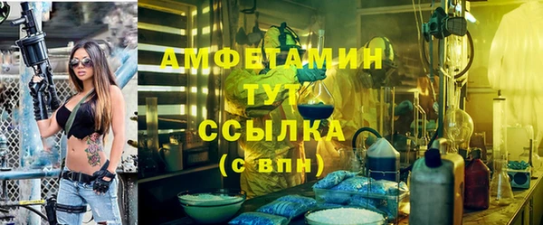 сатива Карпинск