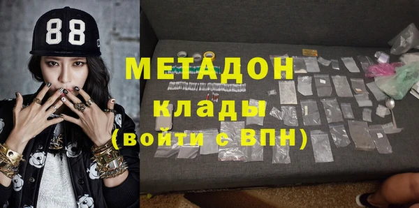 сатива Карпинск