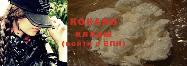 сатива Карпинск