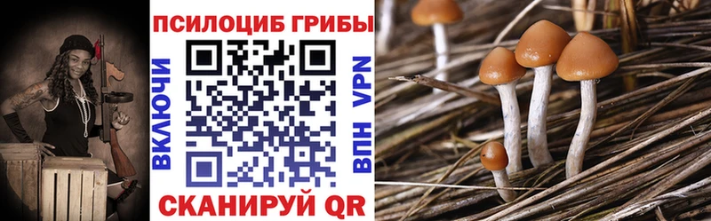 Галлюциногенные грибы прущие грибы  Новокузнецк 