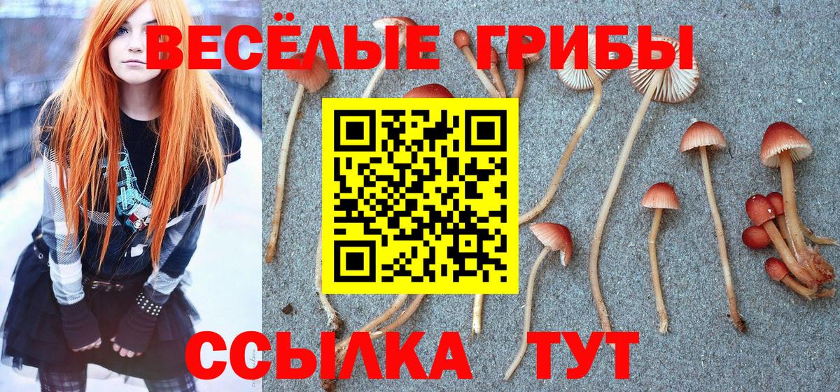 Псилоцибиновые грибы Magic Shrooms  Вход с VPN  Новокузнецк 
